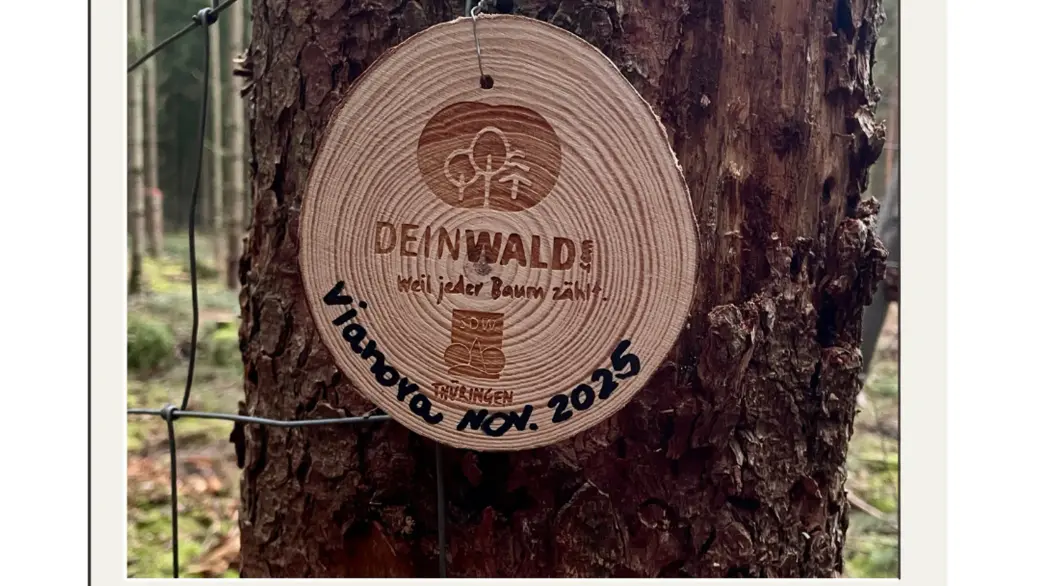 Schild vianova am Baum im Wald