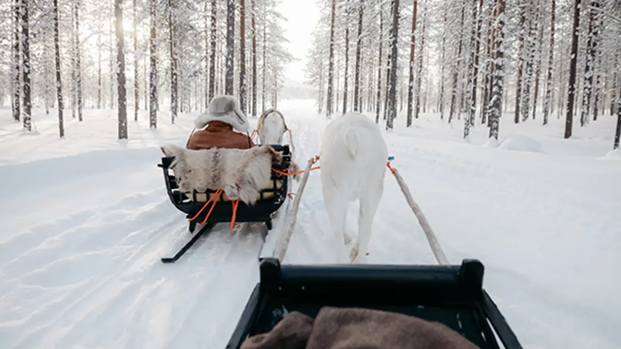 Rentierfarm mit Rentierschlittenfahrt bei Pyhä in Finnisch Lappland