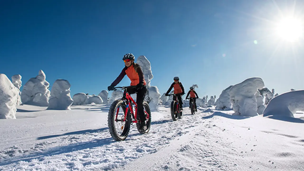 E-Fatbiketour mit Guide bei Iso-Syöte in Finnisch Lappland