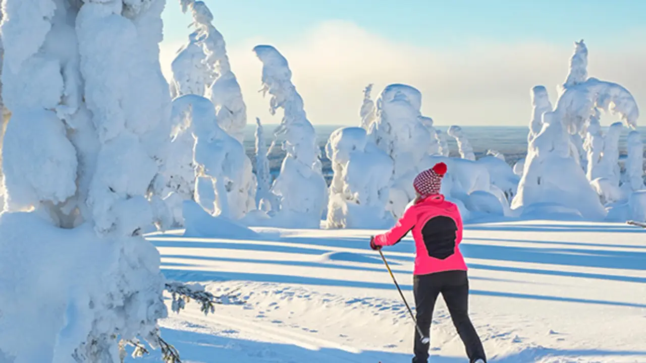 Langlauf-Ski Grundkurs bei Iso-Syöte in Finnisch Lappland