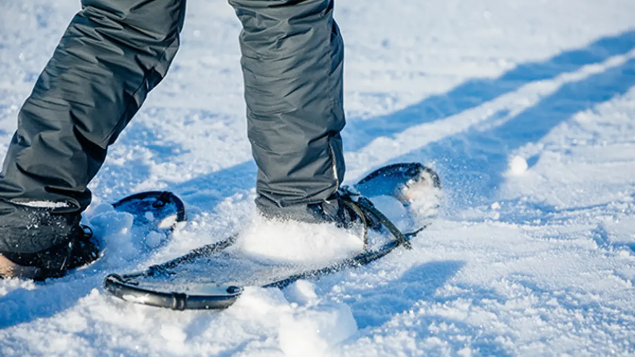 Schneeschuhwanderung Pyhä in Finnisch Lappland