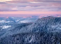 Weihnachten im Schwarzwald