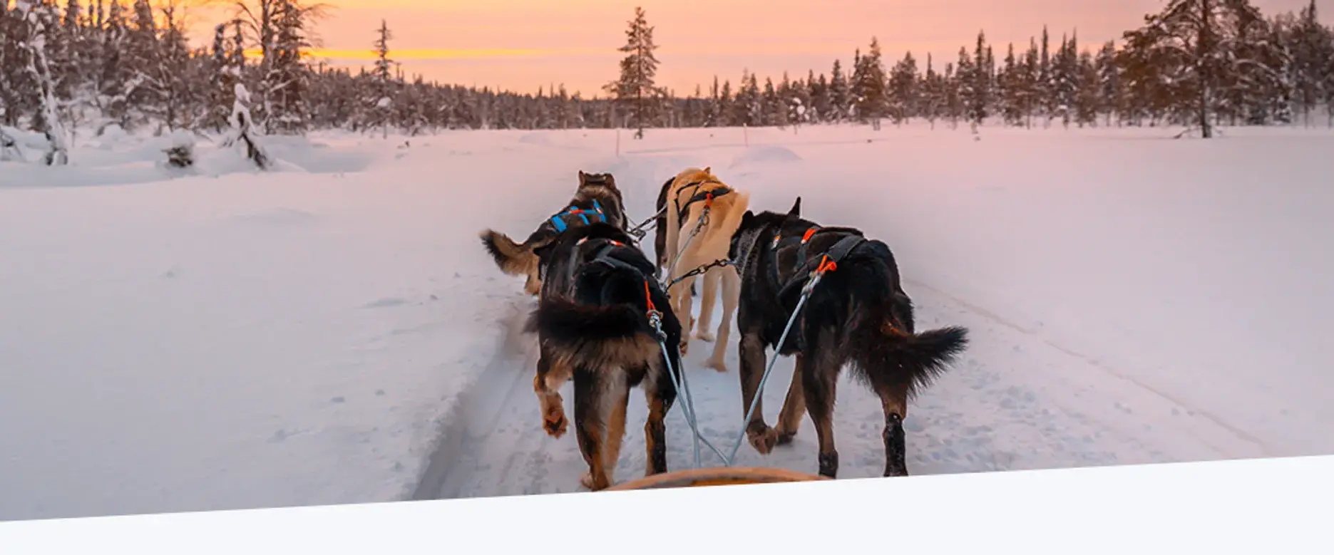 Unsere Ausflüge und besondere Übernachtungen für die Region Kuusamo / Ruka
